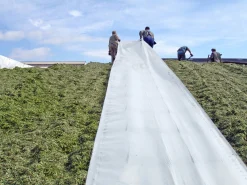 Plansilofolie 12x30m 115my><noscript><img width=