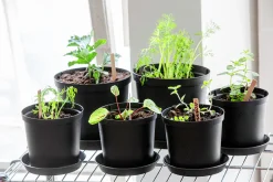 Planteringskruka Cultivate Recycled plast Ø16cm 2L>Orthex Outlet