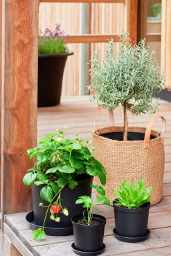 Planteringskruka Cultivate Recycled plast Ø12cm 0,9L><noscript><img width=