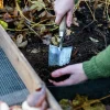 Planteringsspade Bred Rostfri 33cm>Nelson Garden Outlet