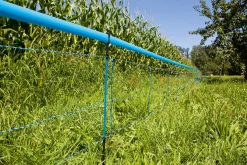 Plastband till Vildsvinsnät Blå 250m>Kerbl New