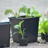 Plastkruka Fyrkantig Svart 25x25x26cm>Nelson Garden Clearance