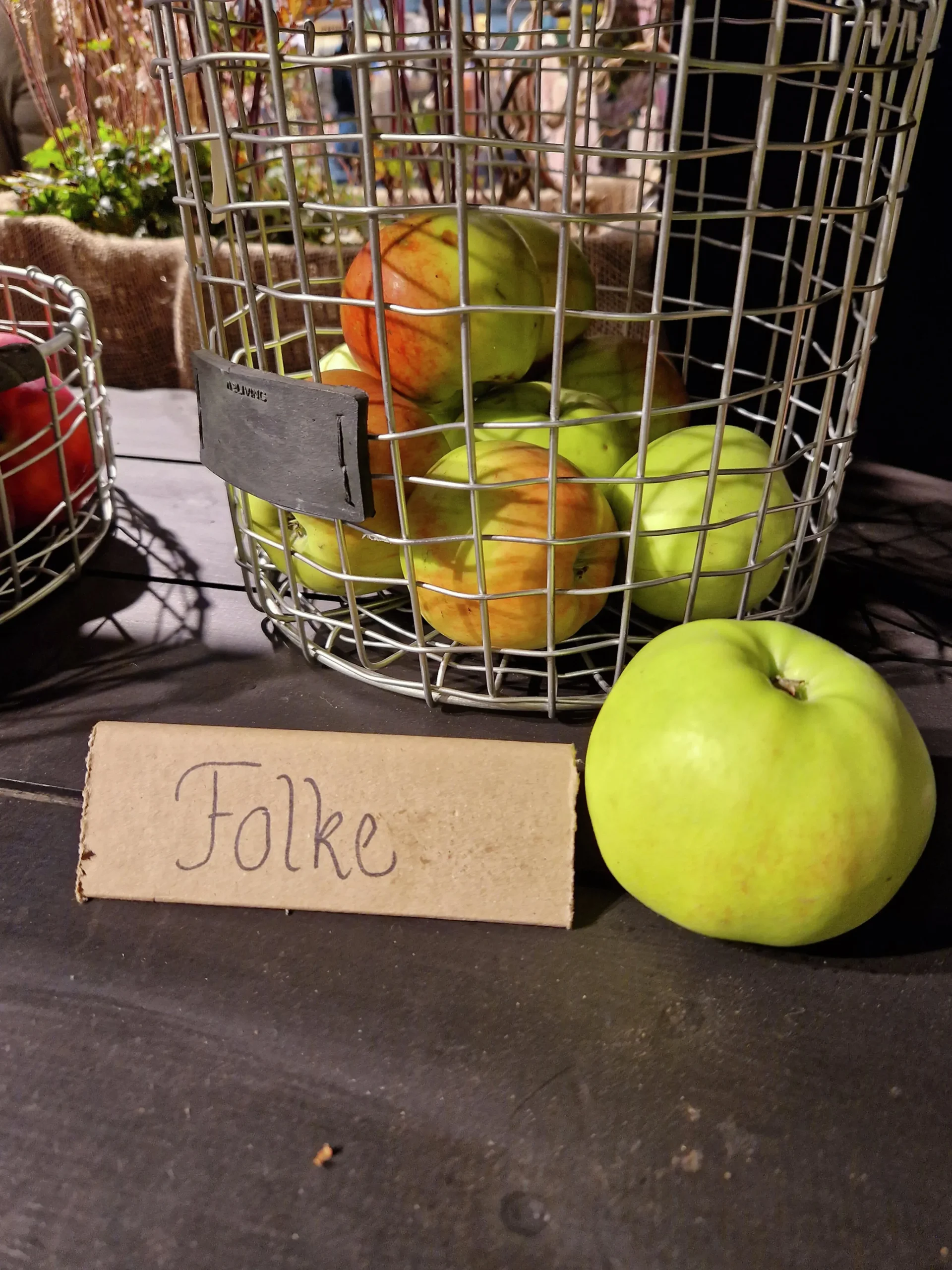 Äpple 'Folke'>Omnia garden Clearance