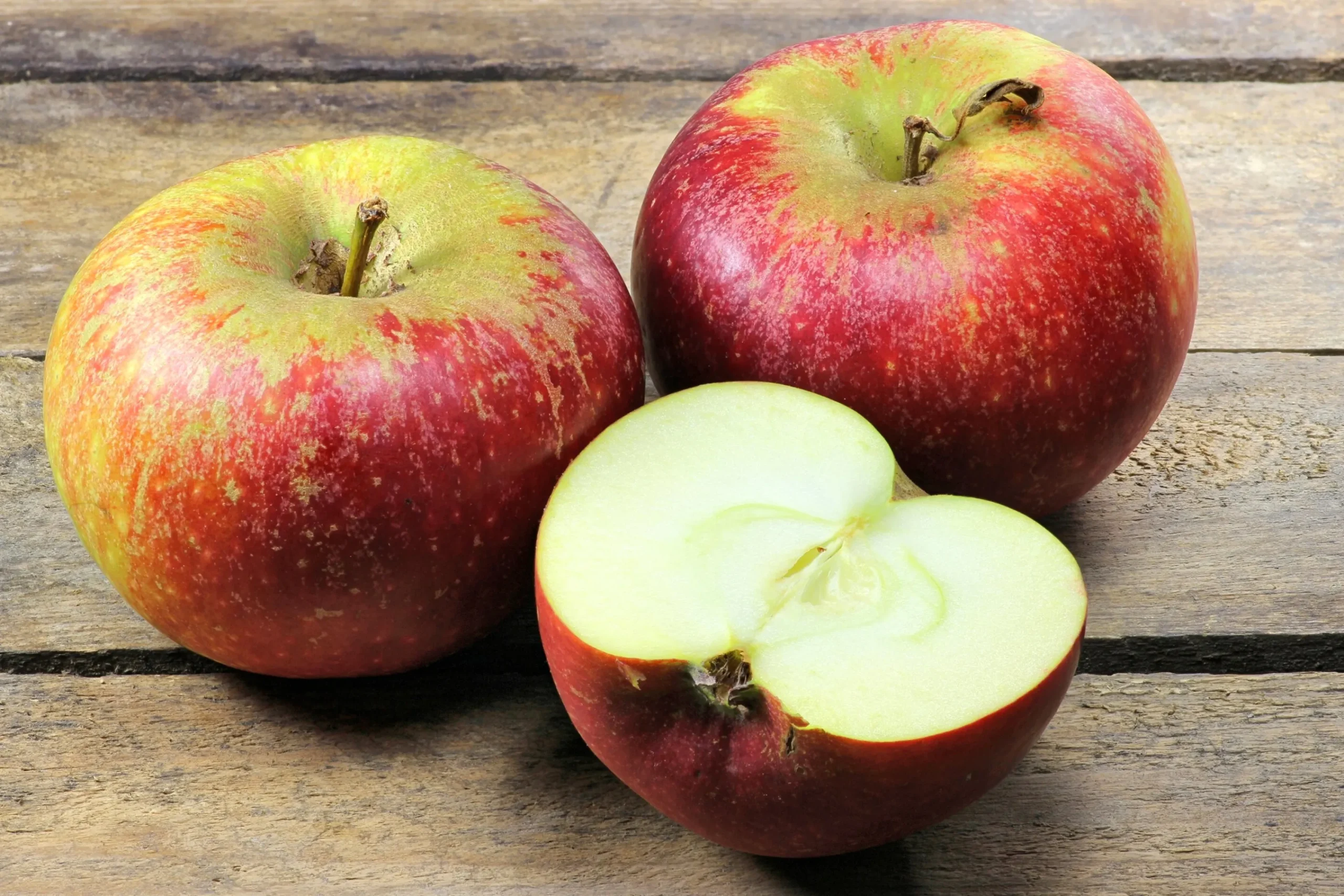 Äpple 'Ingrid Marie'>Omnia garden Outlet