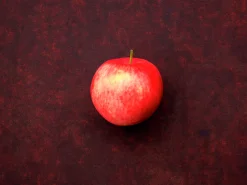 Äpple 'Mantet' Krukodlad>Omnia garden Outlet