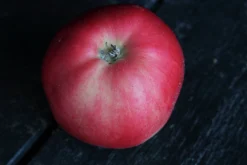 Äpple 'Mio'><noscript><img width=