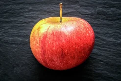 Äpple 'Queen Cox' syn. 'Cox's Orange Queen'><noscript><img width=