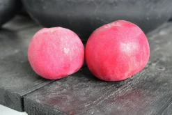 Äpple 'Röd Melba'><noscript><img width=