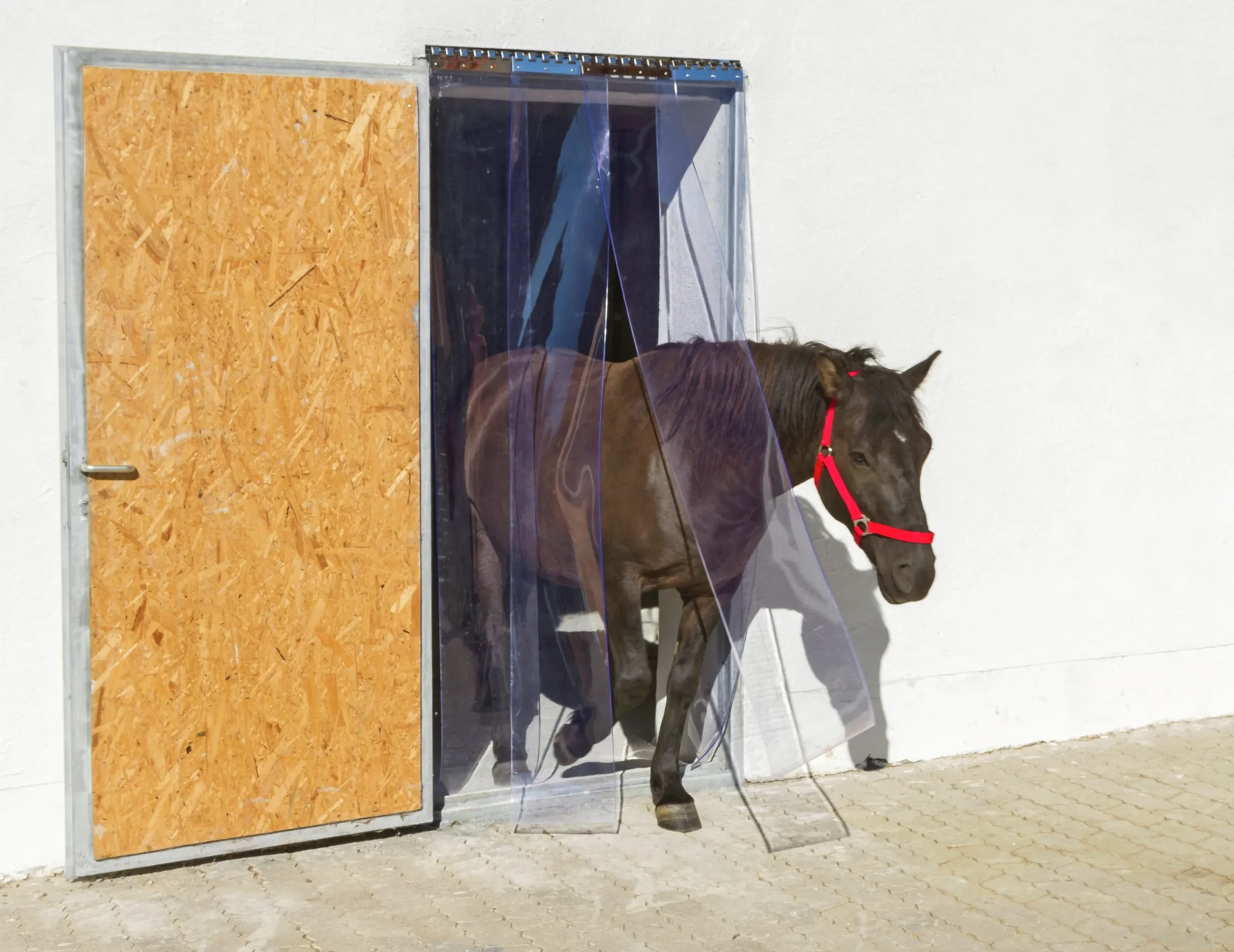 PVC-ridå transparent 200x2mm 25m>Kerbl Outlet