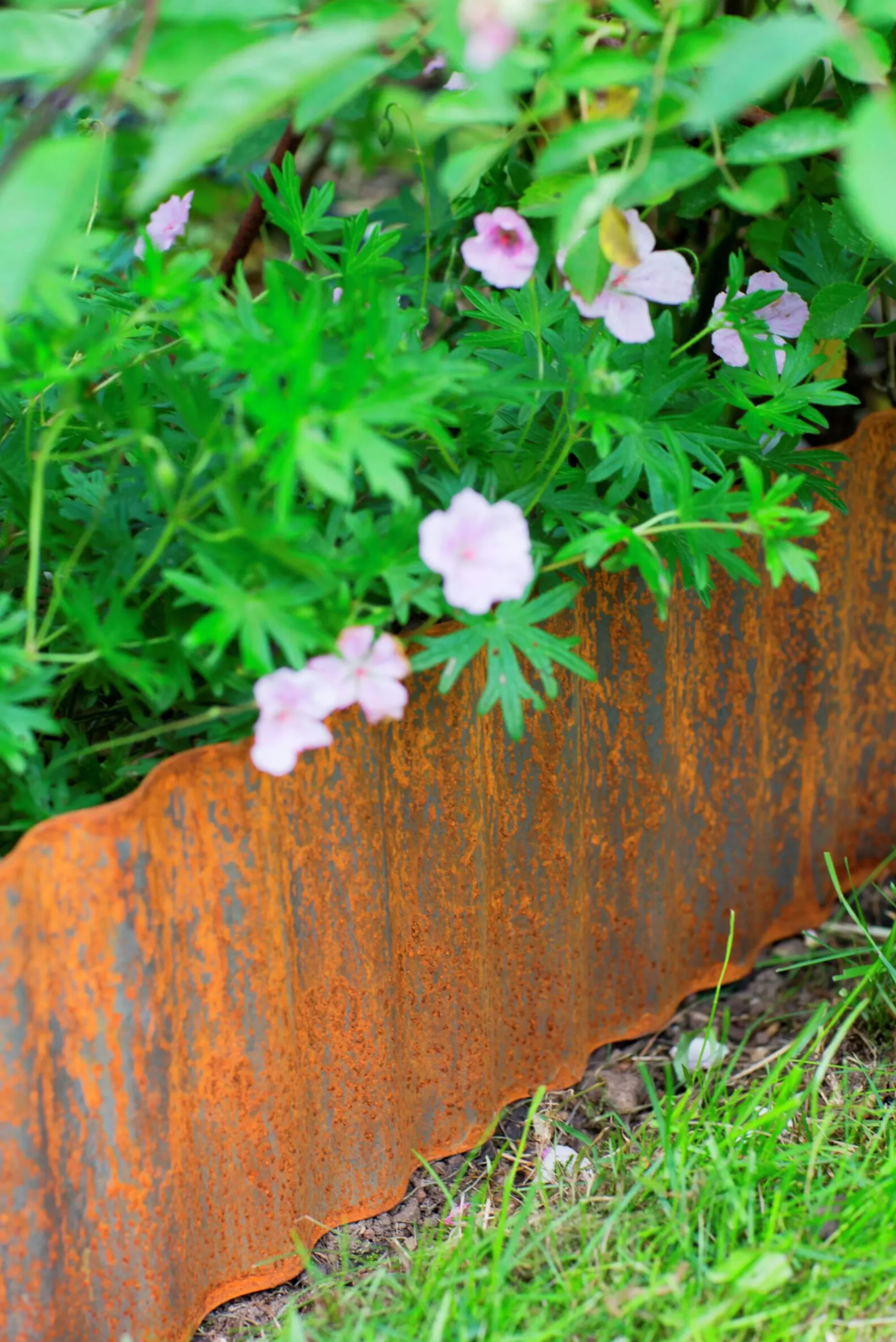 Rabattkant Rostig 5m>Nelson Garden Sale