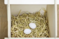 Redesägg Hönsstorlek 2-p><noscript><img width=