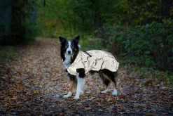 Reflextäcke Ralf Grå>Dogman Best