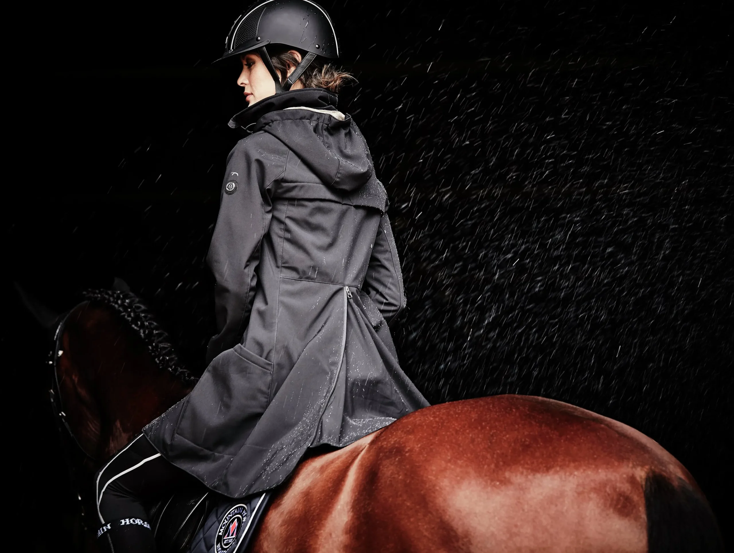 Ridjacka tea ofthe>Mountain Horse Online