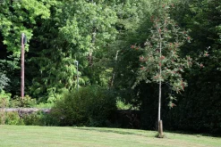 Rönn FK Västeråker>Omnia garden Clearance