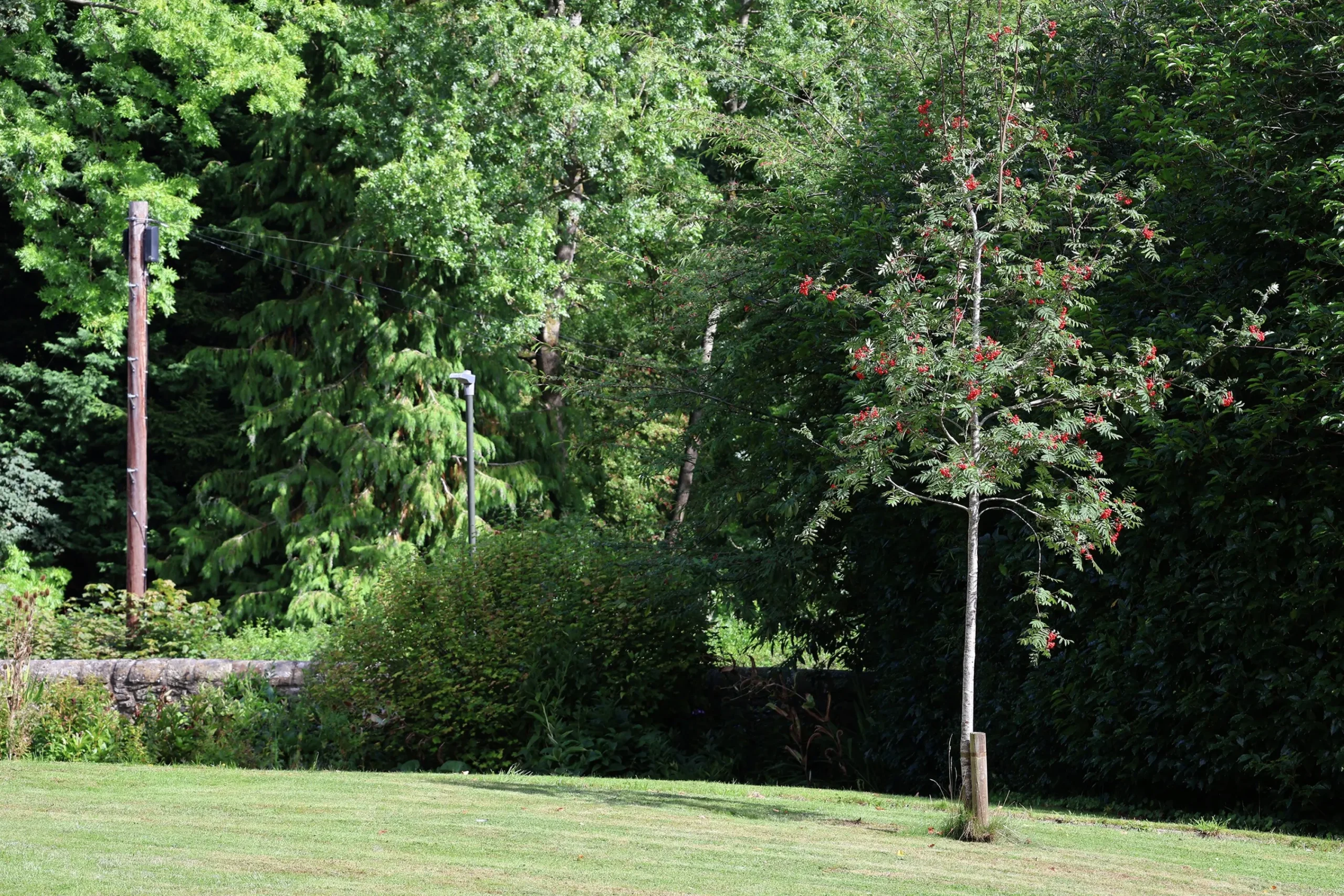 Rönn FK Västeråker>Omnia garden Clearance