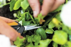 Örtsax Snip SP130>Fiskars Hot