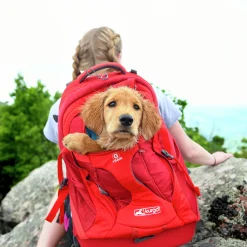 Ryggsäck Hund G-Train Röd><noscript><img width=