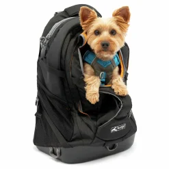 Ryggsäck Hund G-Train Svart><noscript><img width=