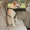 Säkerhetsbälte Hund Svart/Orange>Kurgo Discount