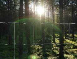 Skogsplanteringsnät Häggroth stängsel Metall 160cmx50m>Häggroths Stängsel Hot
