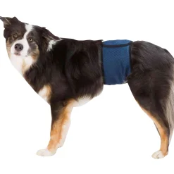kvättkydd för Hanhund arin>Trixie Online