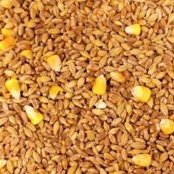 Spannmålsmix Vete/Korn/Majs 15kg>Granngården Outlet