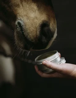 Sårgel 150ml>Fair Horse Care Best