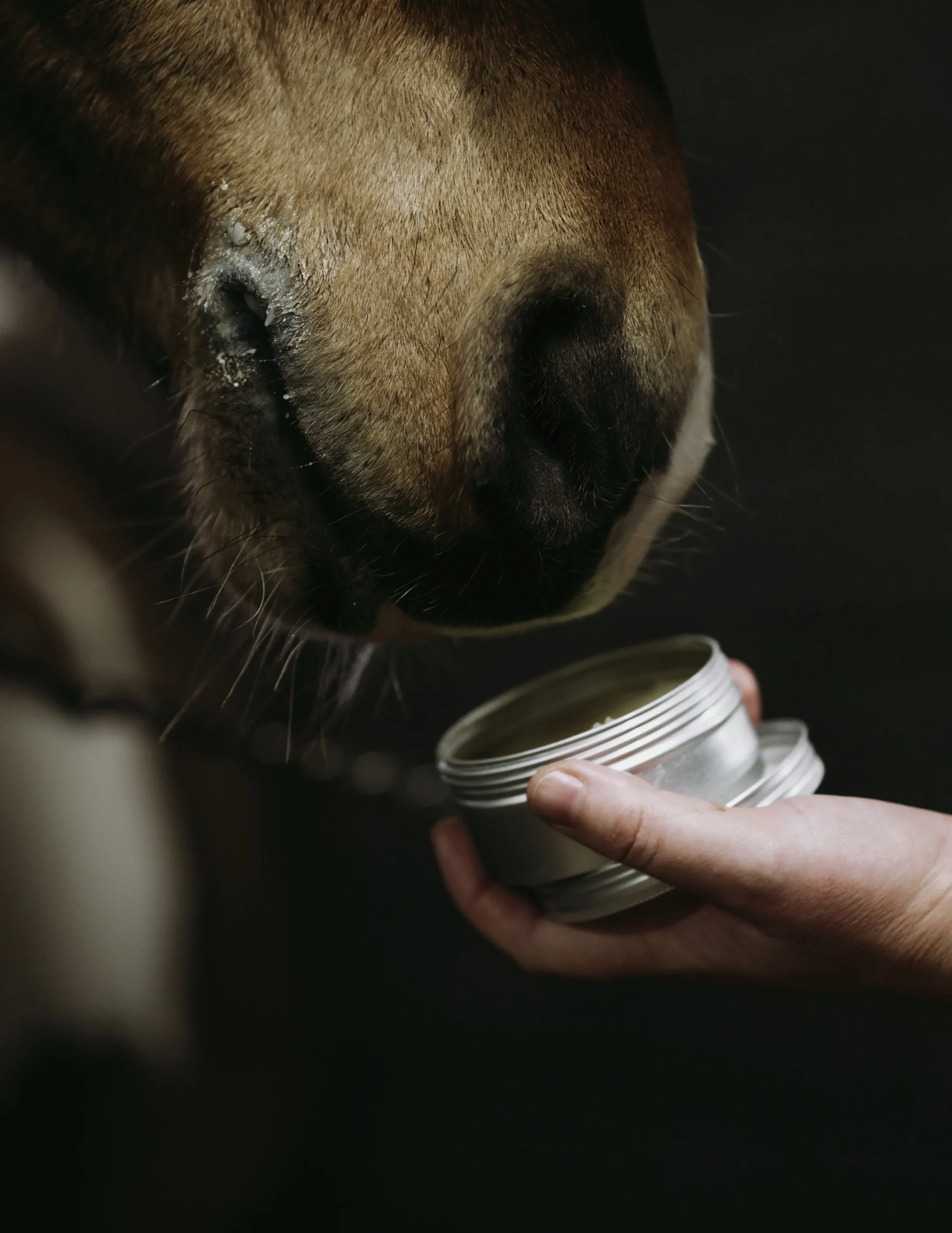 Sårgel 150ml>Fair Horse Care Best
