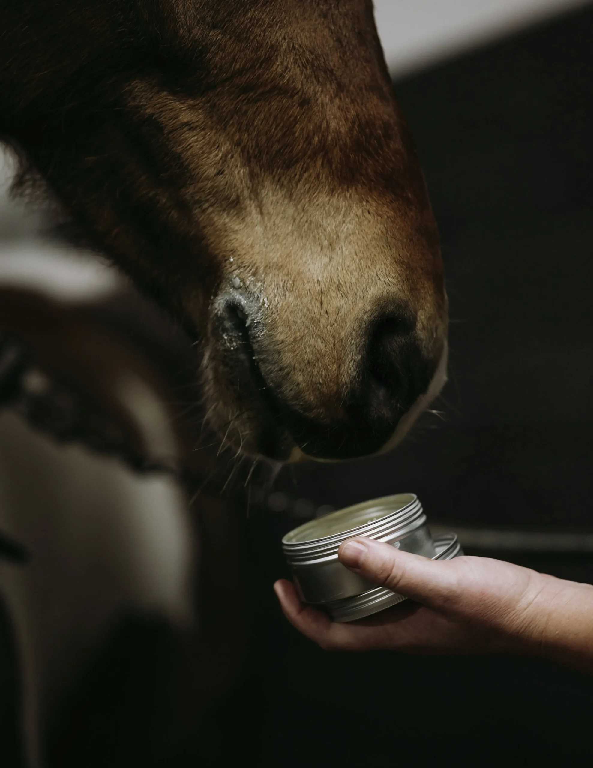 Sårgel 150ml>Fair Horse Care Best
