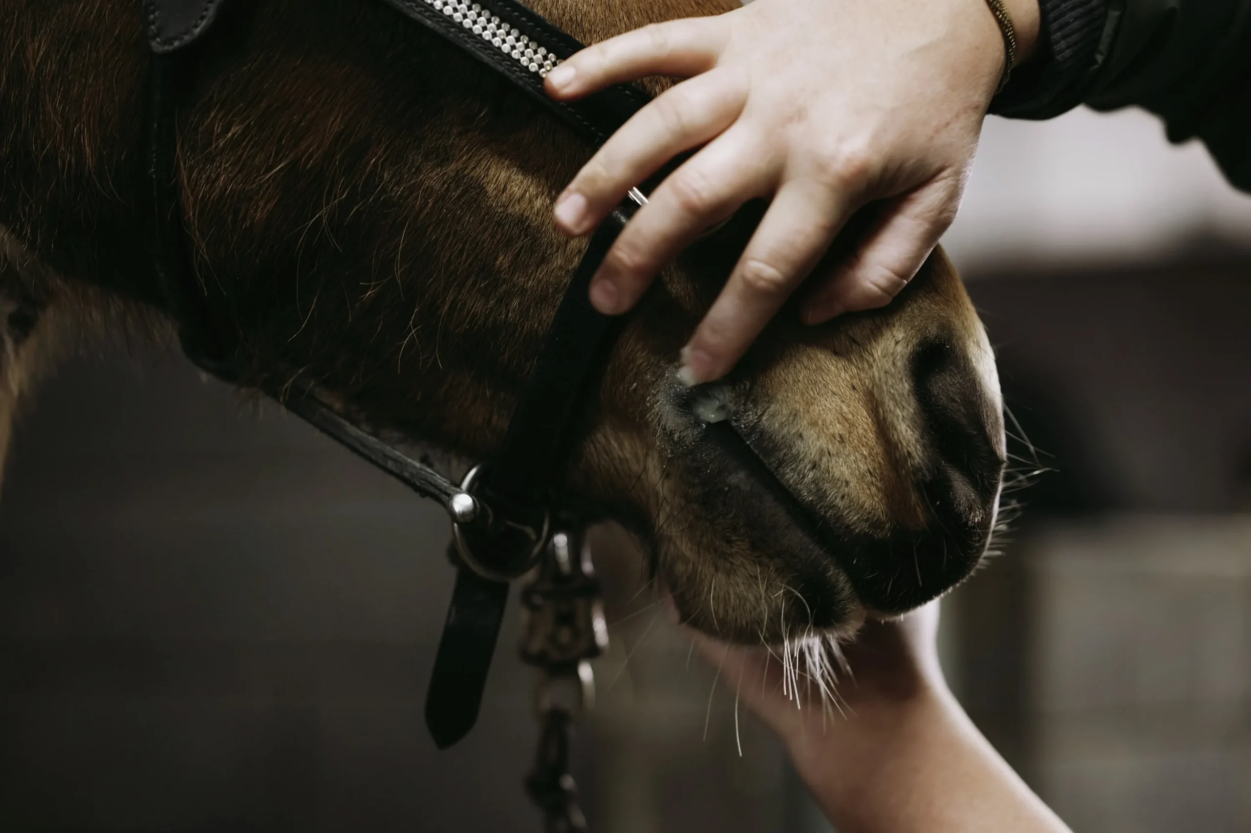 Sårgel 150ml>Fair Horse Care Best