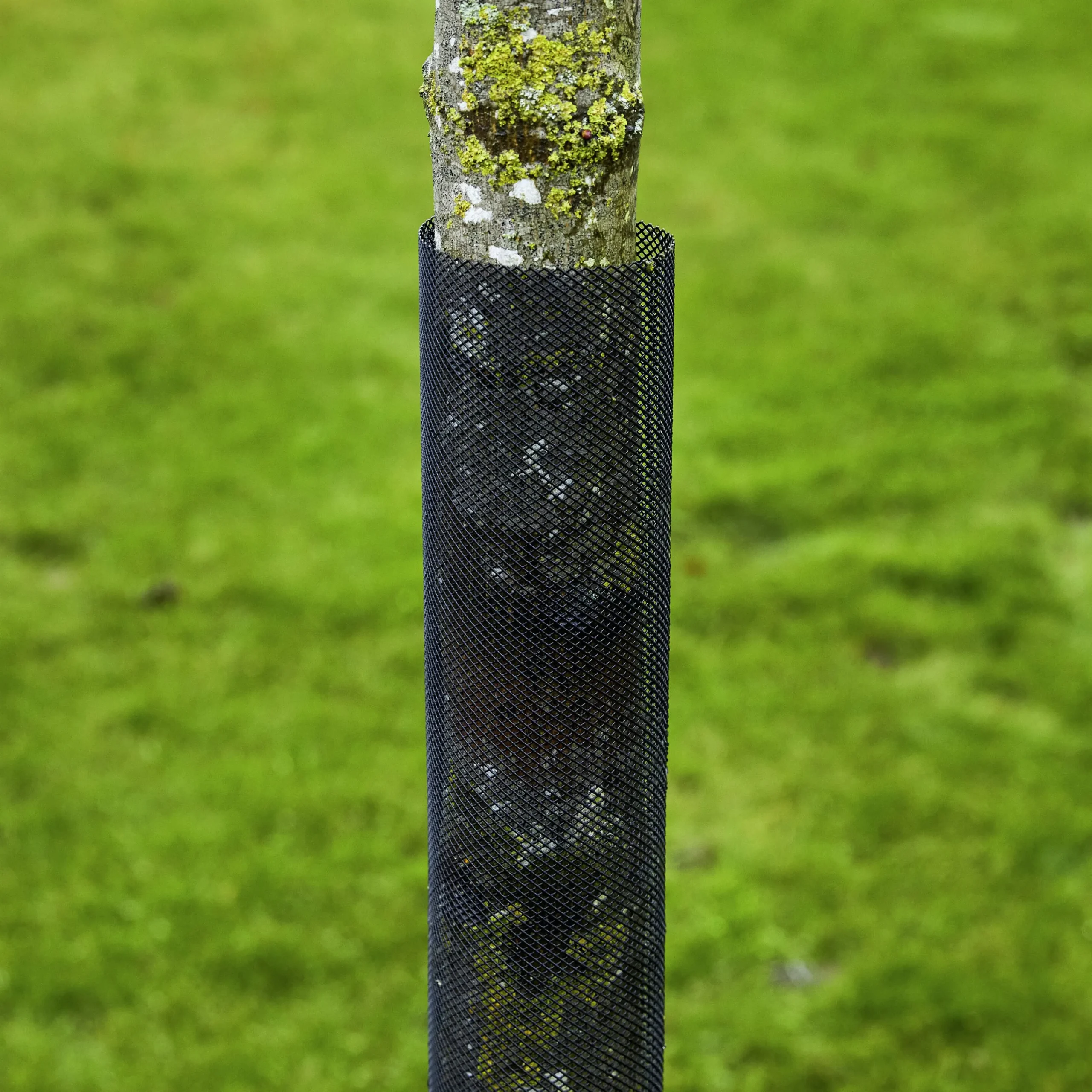 Stamskydd 110cm svart 2-p>Nordic Fence Clearance