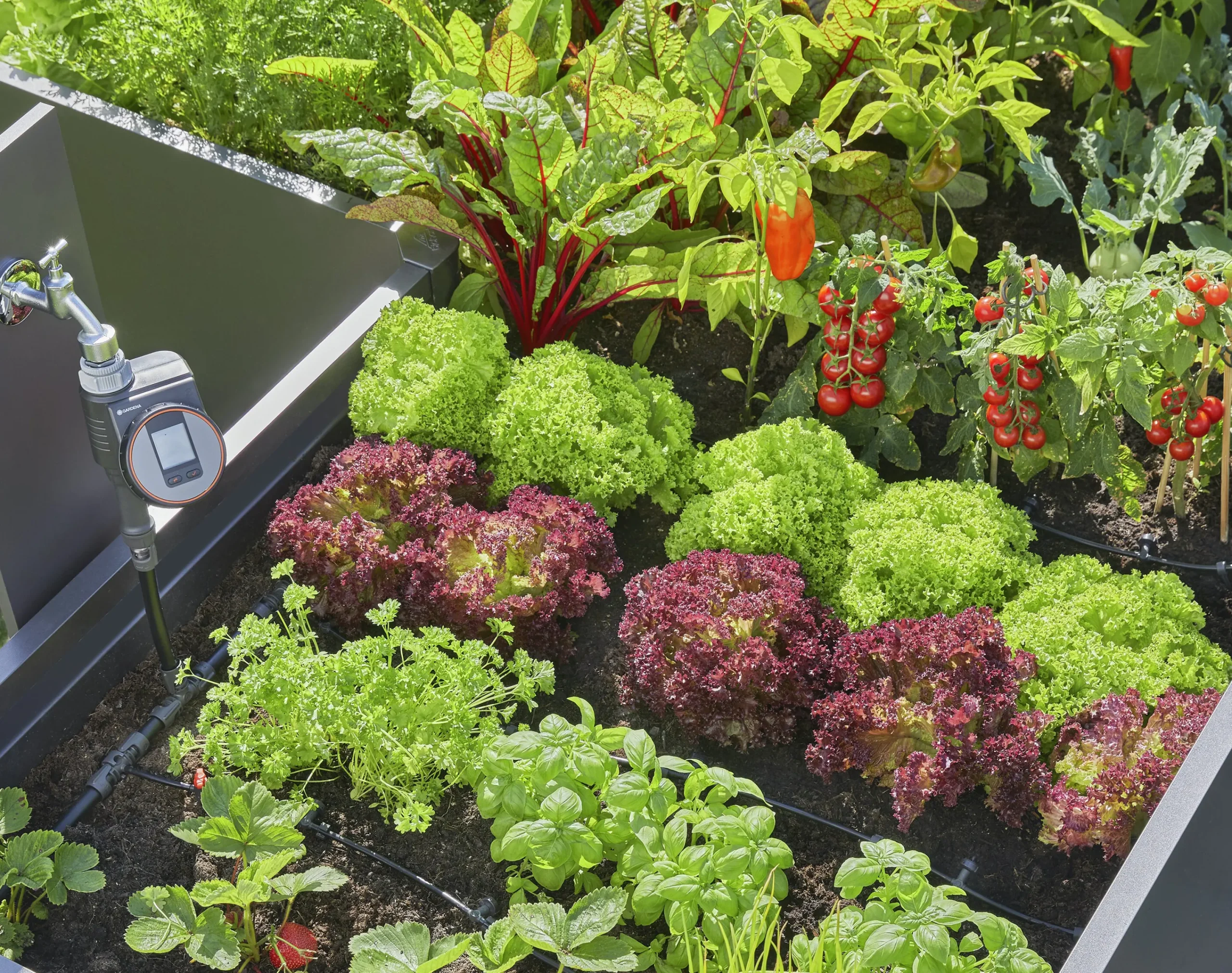 Startpaket Micro Drip System Pallkragar>Gardena Clearance