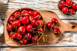 Sötkörsbär 'Sweetheart' Svagväxande Krukodlad><noscript><img width=