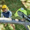 Stånggrensåg ONE+ OPP1820 18V (exkl. batteri)>Ryobi New