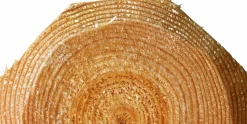 Stängselslana halvåttkantig 100x1800mm 1-p>Octowood Hot