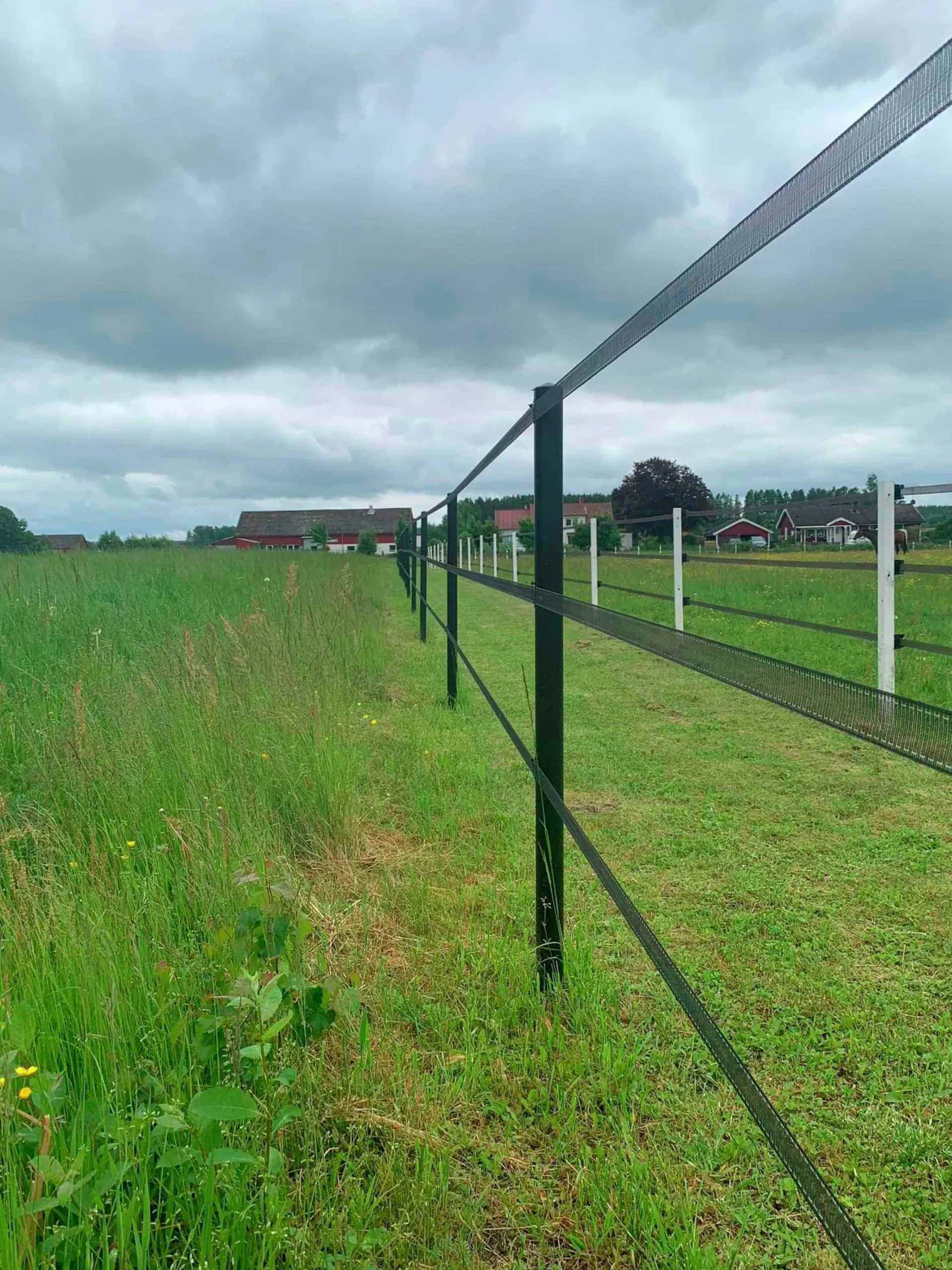 Stängselstolpe rund plast 65mm 1,8m (hemleverans)>Equisafe Clearance