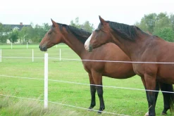 Stängselstolpe rund plast 65mm 1,8m (hemleverans)><noscript><img width=
