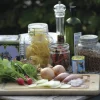 Sättlök Röd värmebehandlad 250g>Nelson Garden Sale