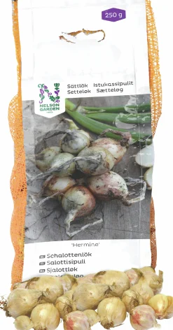 Sättlök Schalottenlök Hermine 250g>Nelson Garden Clearance