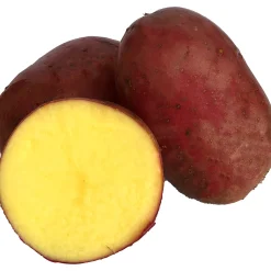 Sättpotatis Alouette Eko Höst 500g>LPM Sale