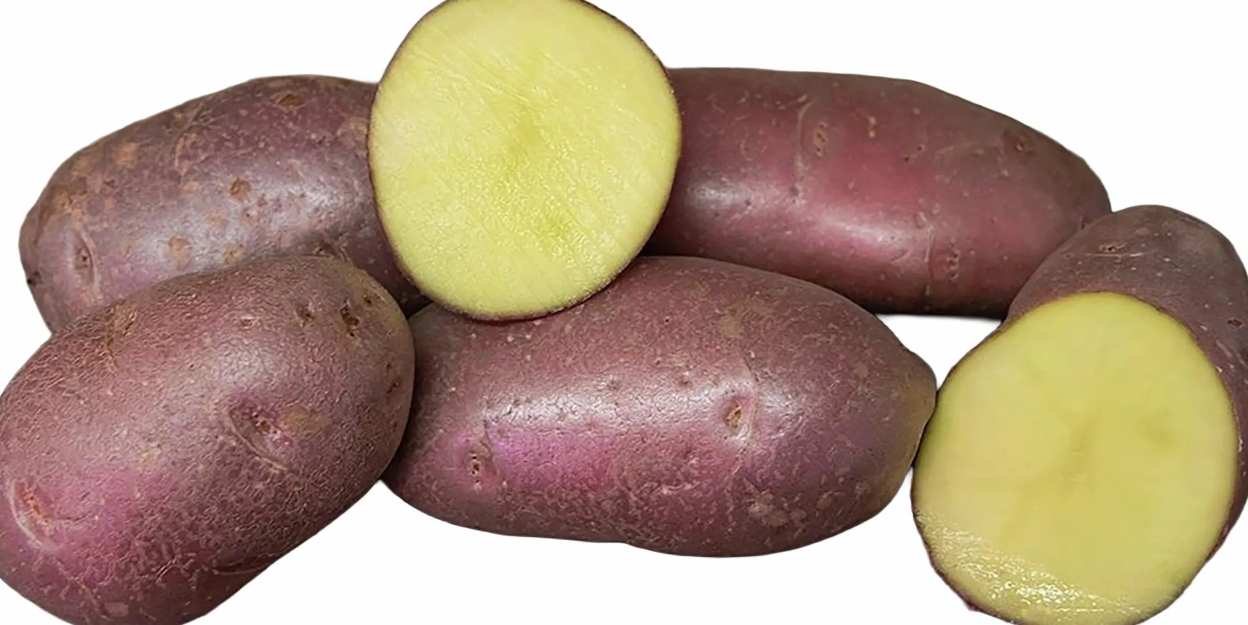 Sättpotatis Asterix Höst 3kg>LPM Outlet