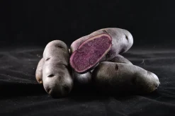 Sättpotatis Bergerac Höst 1kg>LPM Outlet