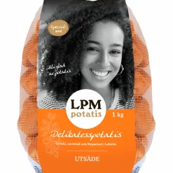 Sättpotatis Bergerac Höst 1kg><noscript><img width=