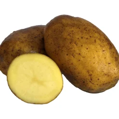 Sättpotatis Inova Sommar 3kg>LPM Online