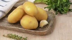 Sättpotatis Inova Sommar 3kg><noscript><img width=