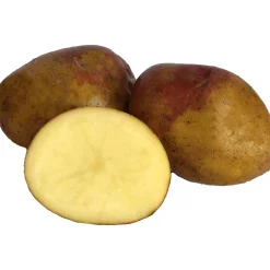 Sättpotatis King Edward Höst 3kg>LPM Online
