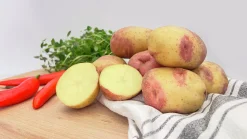 Sättpotatis King Edward Höst 3kg><noscript><img width=