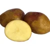 Sättpotatis King Edward Höst 15kg>LPM Hot
