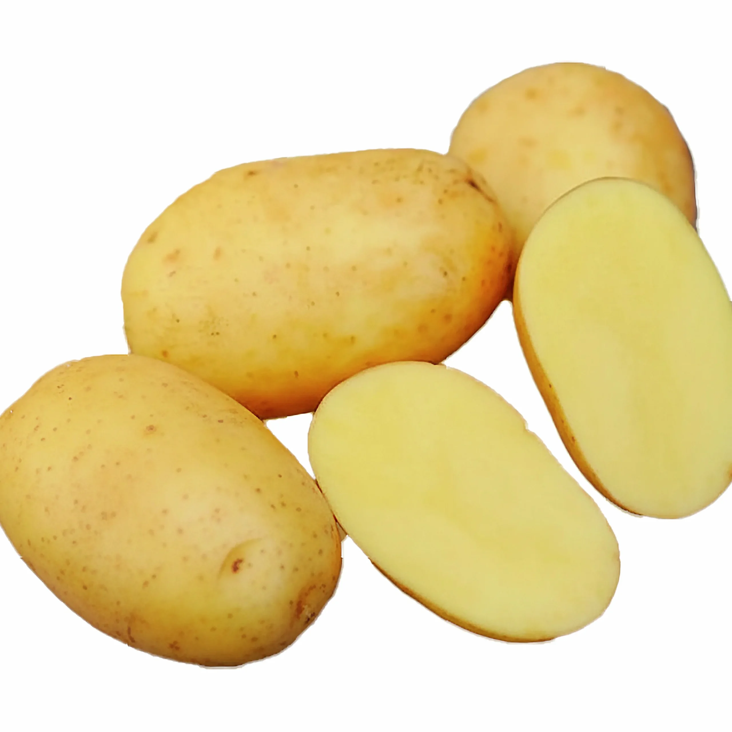 Sättpotatis Lea Eko Vår 1kg>LPM Clearance
