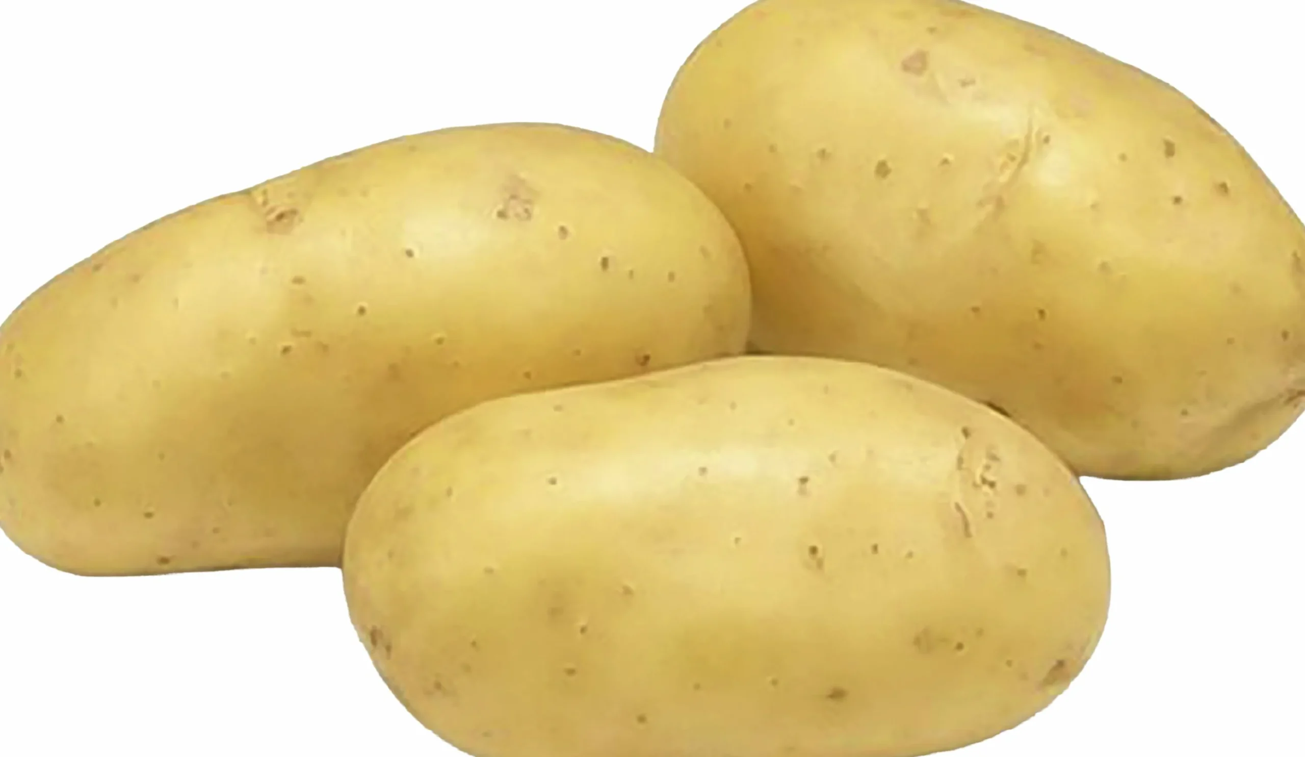 Sättpotatis Leonore Sommar 1kg>LPM Online